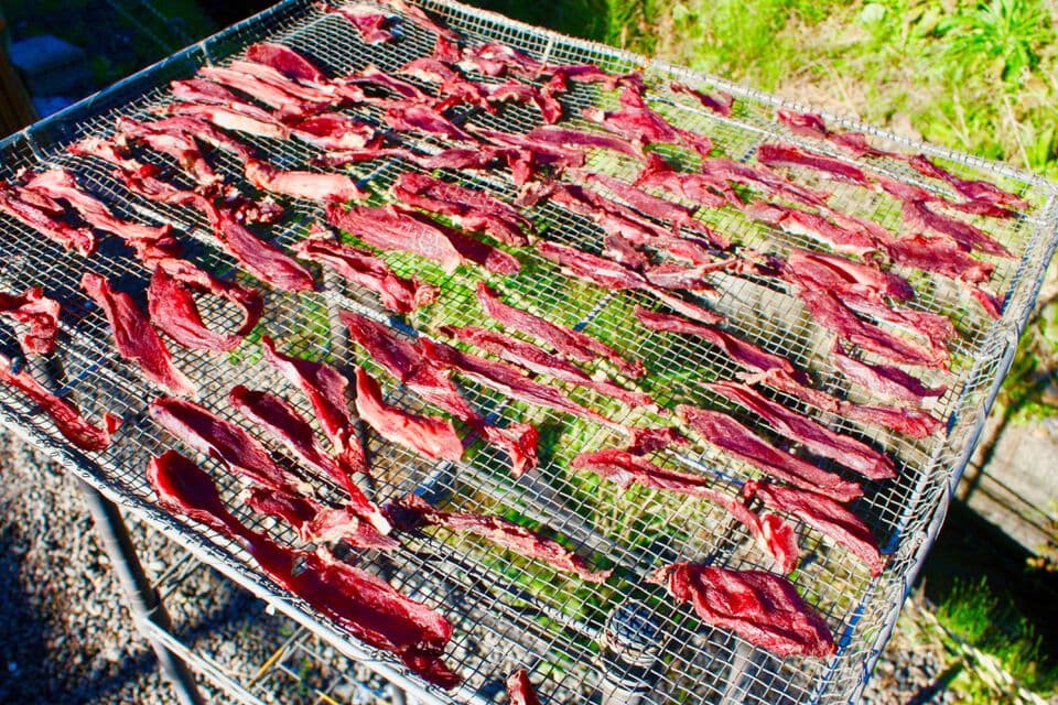 ヒューマングレード　hachi